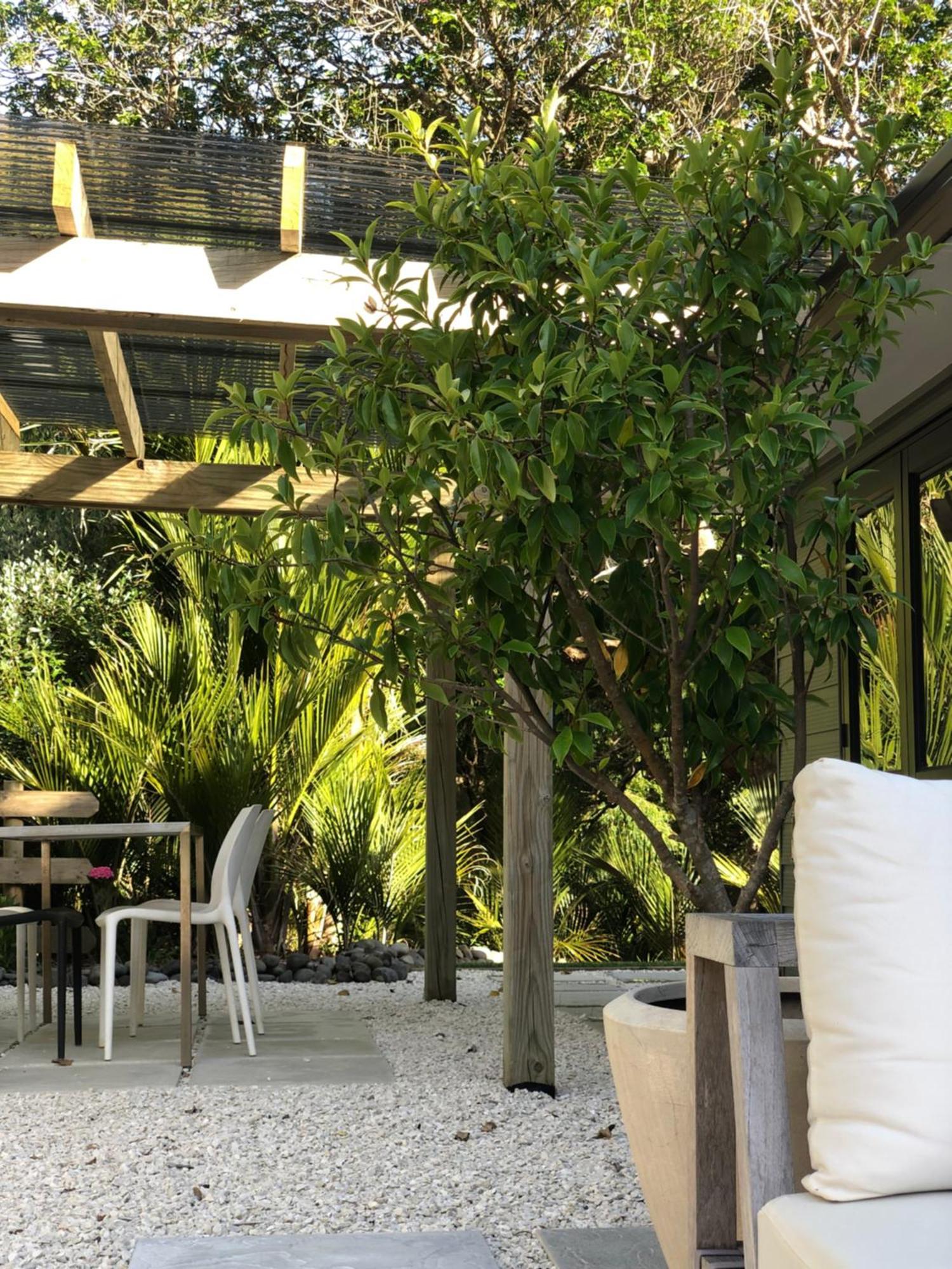 Villetta - Matakana Boutique Luxury Accommodation מראה חיצוני תמונה