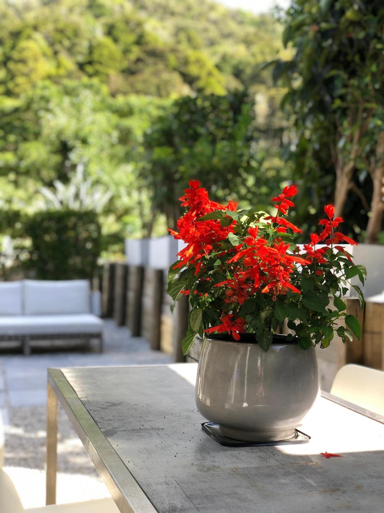 Villetta - Matakana Boutique Luxury Accommodation מראה חיצוני תמונה